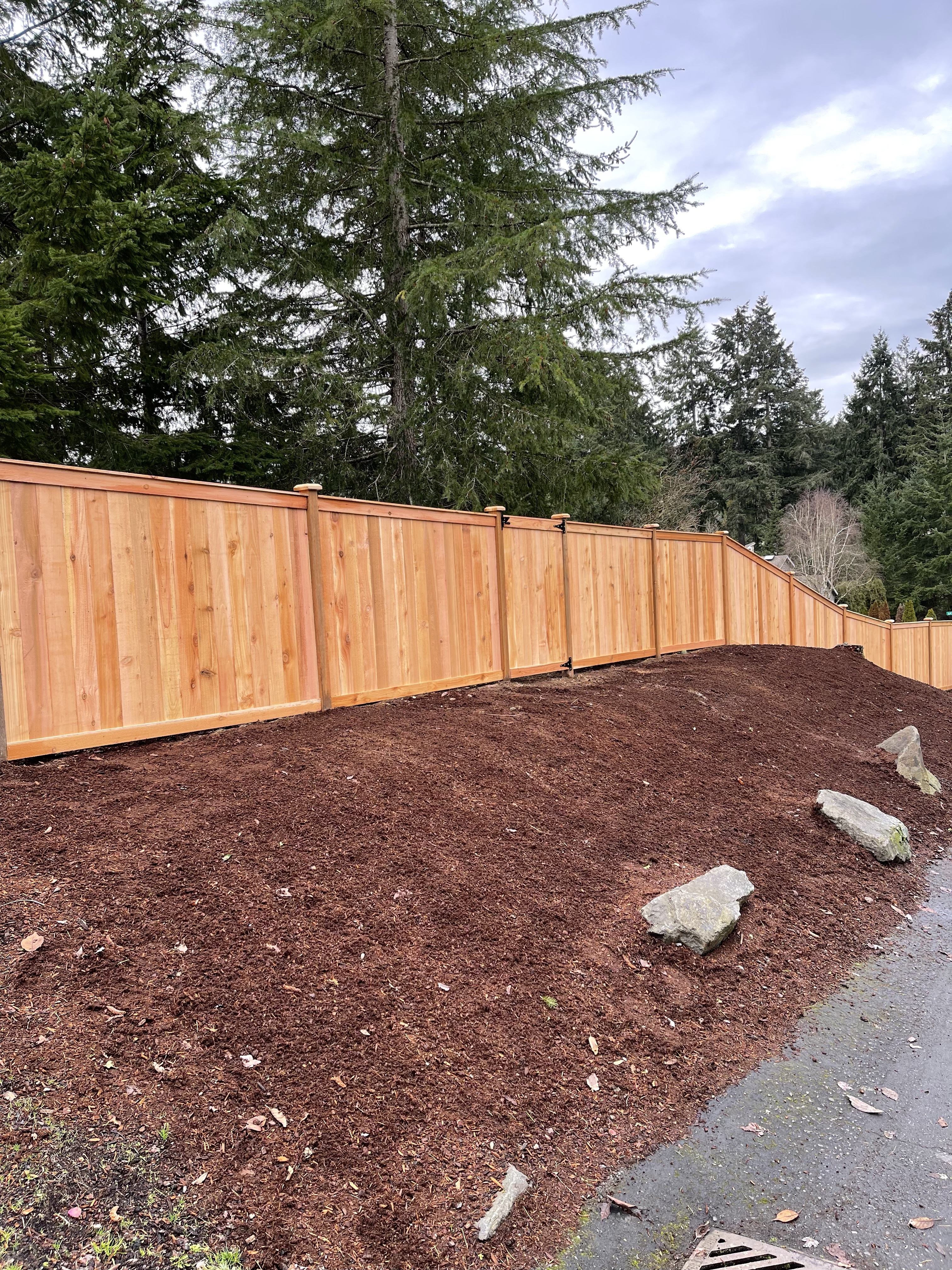 Panel Style Cedar Fence