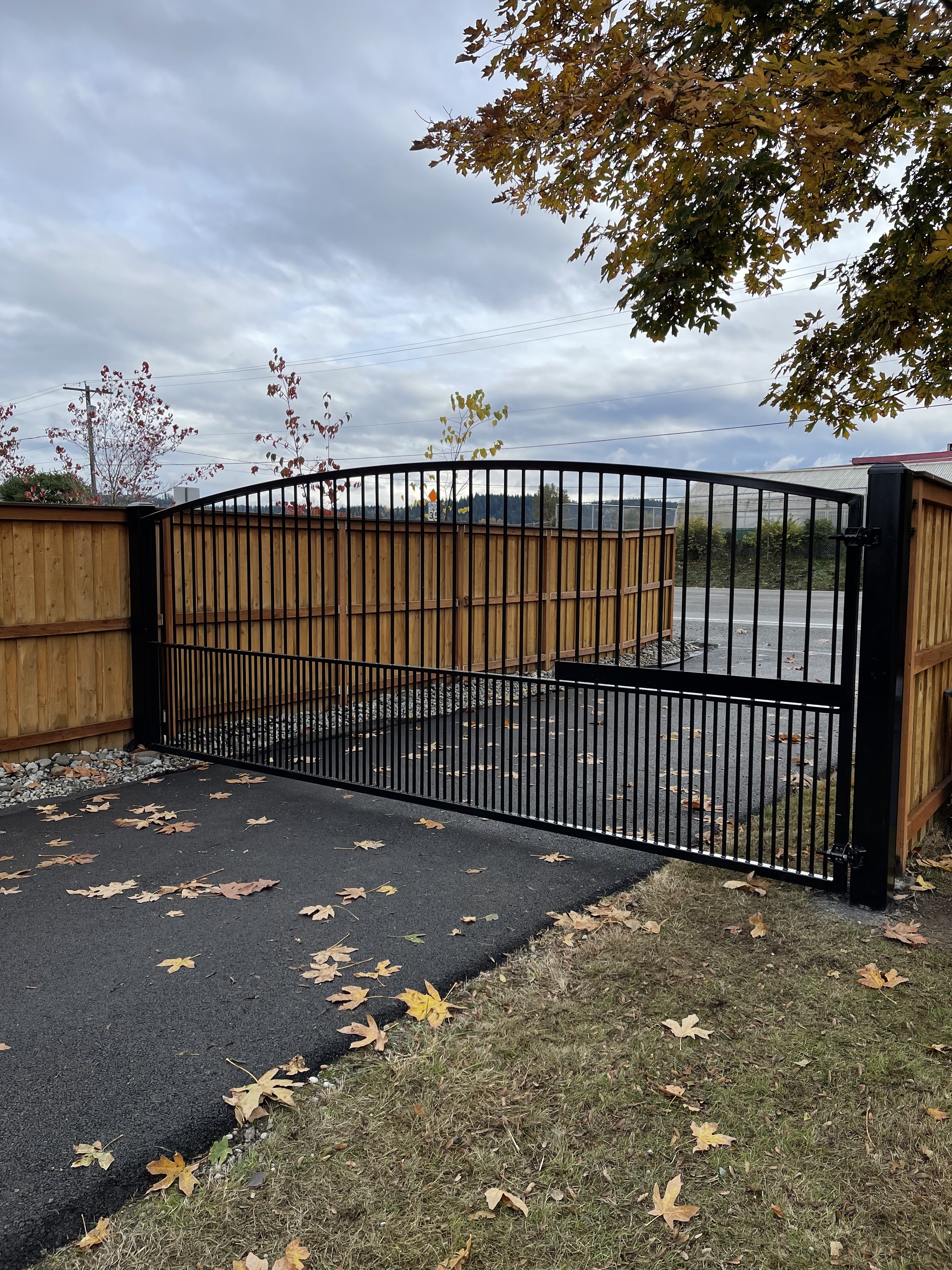 Ornamental Iron Swing Gate